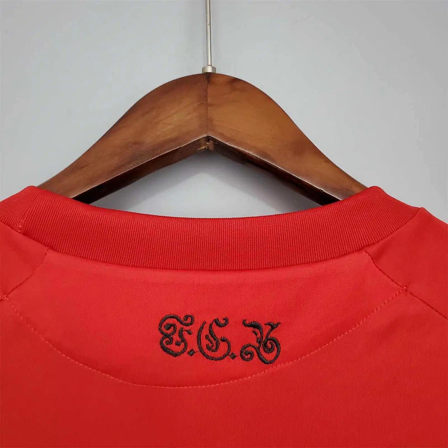 Bayern Munchen Domaći (2010/11)