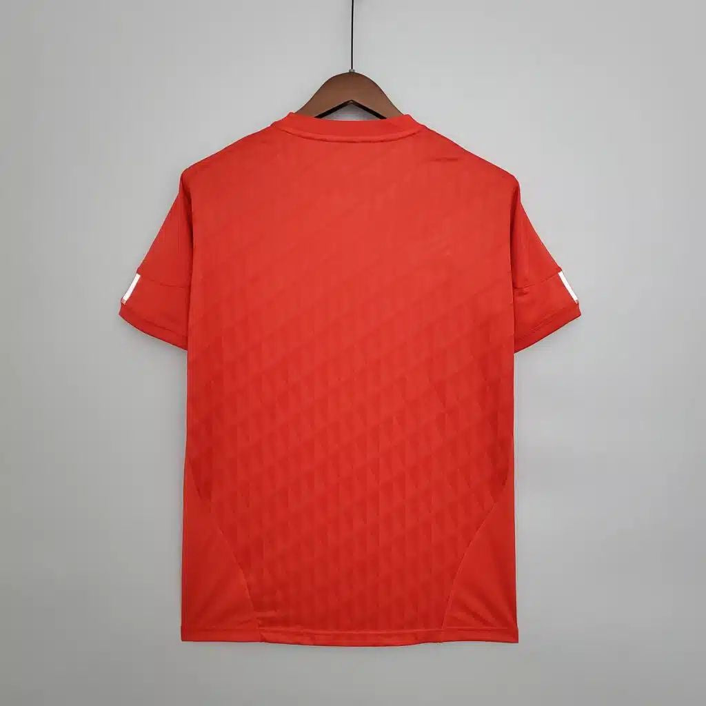 Liverpool Domaći (2010/11)