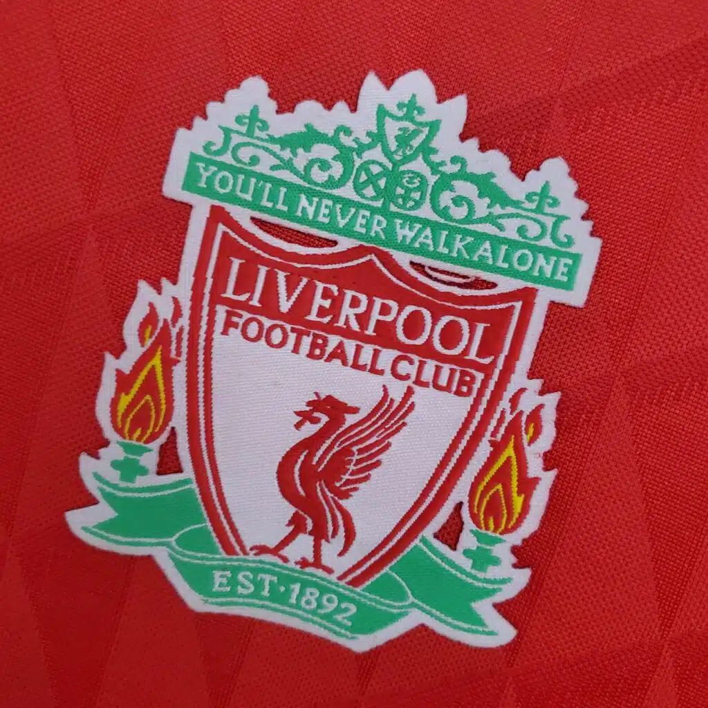 Liverpool Domaći (2010/11)