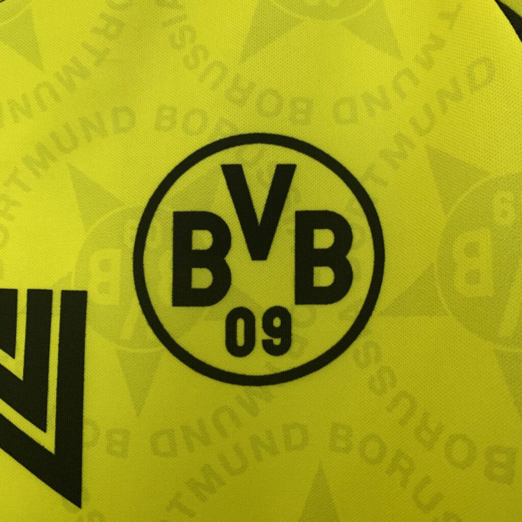 Dortmund Domaći (1994/95)