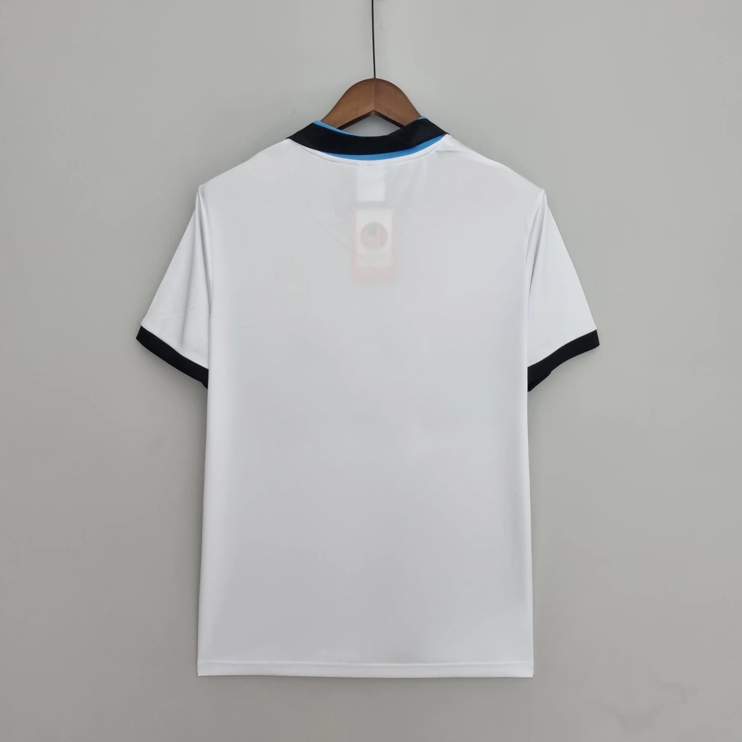 Inter Gostujući (1990/91)