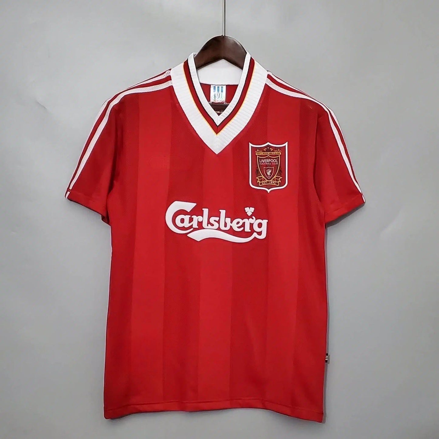 Liverpool Domaći (1995/96)