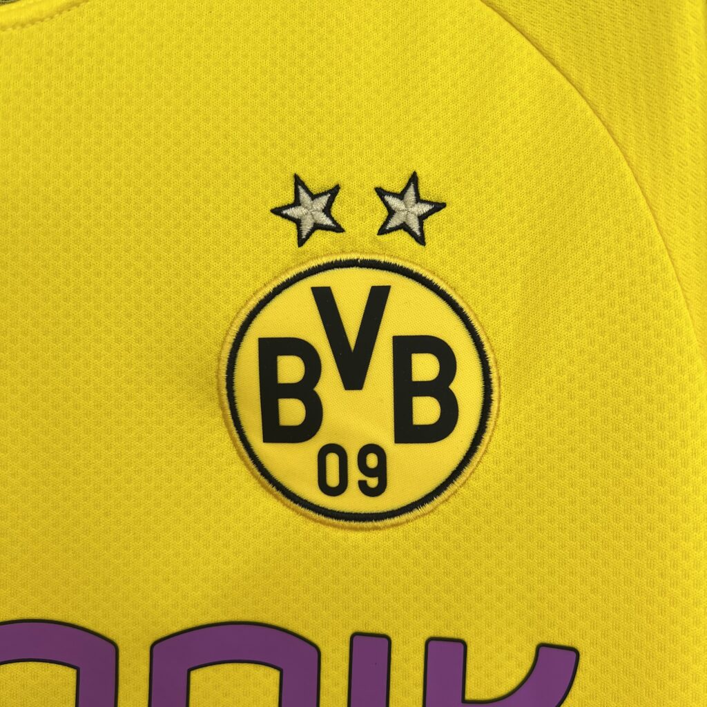Dortmund Domaći (2019/20)