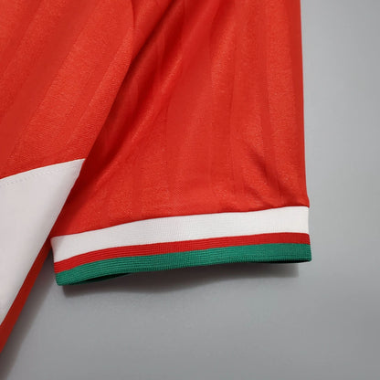 Liverpool Domaći (1993/95)